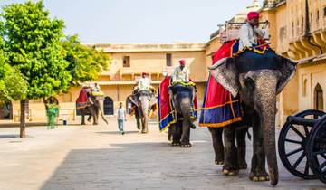 14 Days Golden Triangle With Khajuraho and 4 India\'s  Popular Wildlife safari  Tour(ALL INCLUSIVE) Tour