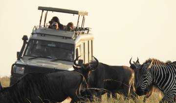 8 Days Tanzania Familly Safari/Tarangire, Lake Manyara Serengeti, Ngorongoro Crater