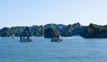 Tagesausflug Halong Bay