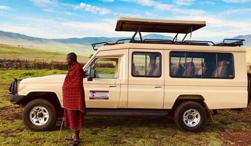 1 jour - Excursion dans le cratère du Ngorongoro depuis Arusha circuit