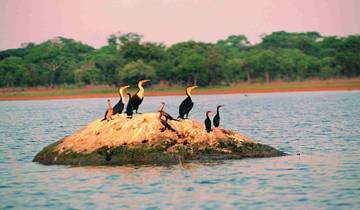16 Days in Zambia, incl. Livingstone and Bangweulu Wetlands