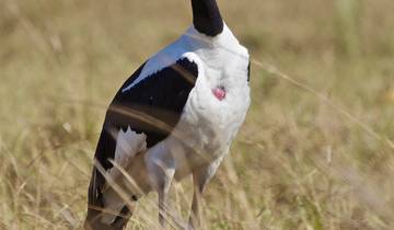 16 Days in Zambia, incl. Livingstone and Bangweulu Wetlands