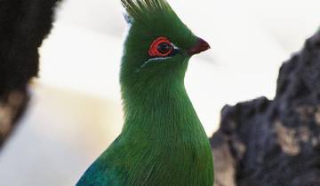 16 Days in Zambia, incl. Livingstone and Bangweulu Wetlands