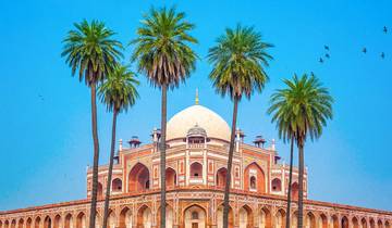 Aventura familiar de 12 días en el Rajastán hecha a medida, con coche privado y salida diaria