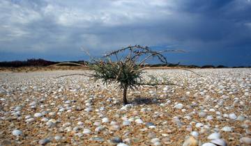 2-day tour to Aral Sea Tour