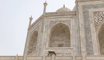 Taj Mahal&Agra Rondreis door 2 dagen-rondreis