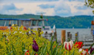 14 Day Bavaria Itinerary, incl. Lake Constance and Salzburg