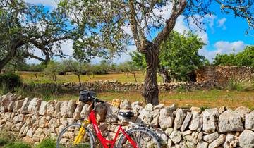 7 Day Mallorca Cycling Itinerary, incl. Campanet and Porto Cristo