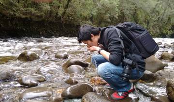 Famous 5 - 5 day Tour of Tasmania