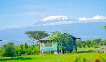 Discover Our Exclusive & Most Affordable 7-Day Kenya Private Budget Safari from Nairobi to Masai Mara, Lake Nakuru, Lake Naivasha & Amboseli