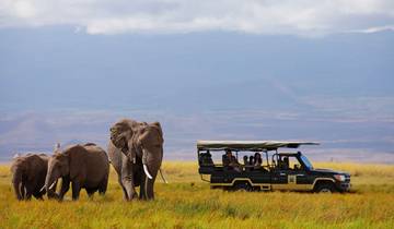 Private 5 Day Aberdare Lake Nakuru and Masai Mara Safari from Nairobi Tour