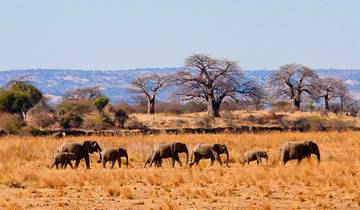 21 Day Kenya & Tanzania Itinerary, incl. Nairobi and Serengeti