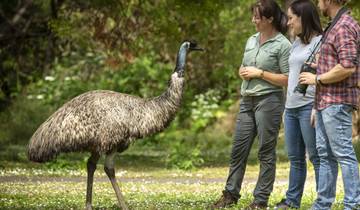 3 Days in Victoria, incl. Great Ocean Road and Grampians