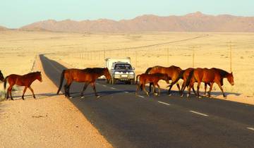 12 Days Namibia in Plus | Auto Tour Lodge