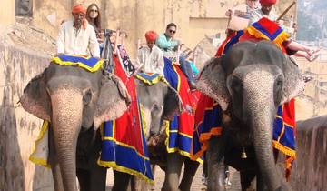 Grote rondreis door Noord-India