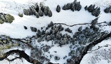 Horseback riding adventure in Almaty region