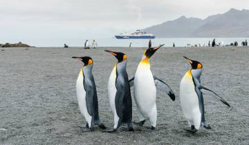 Antarctica, South Georgia and Falkland Islands- Ocean Victory & Ocean Albatros 19D/18N Tour