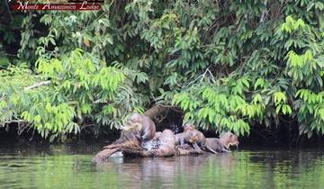 Tambopata Macaw Clay Lick 3 Days/2 Nights