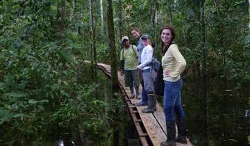 Collpa de Guacamayos de Tambopata 3 días/2 noches