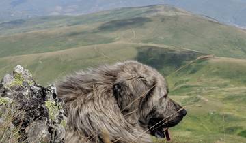 High Scardus Trail - Trek the newest section of the Via Dinarica (8 days) 