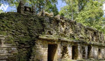 Chiapas Icons: A Journey Through History and Nature Tour
