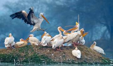 Gouden Driehoek Tour met Bharatpur Vogelreservaat & Varanasi