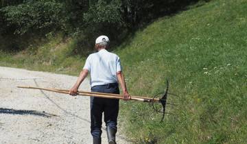 4 Days in Romania Mountain Trek, incl. Brasov and Piatra Craiului