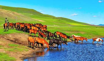 Circuit sur mesure des hauts lieux de la Mongolie, avec guide et chauffeur privés circuit