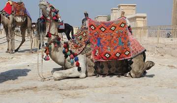 12 Days Pyramids, Nile Cruise & Hurghada Tour Tour