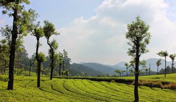 10 Day Northern India Itinerary, incl. Delhi and Rishikesh