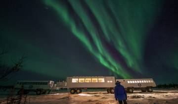 7 Days in Manitoba Northern Lights, incl. Winnipeg and Churchill