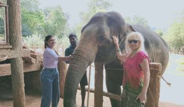 Circuit essentiel de 7 jours en voiture privée au Sri Lanka