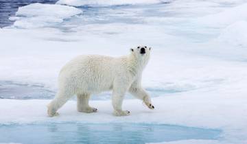 Svalbard - Laatste halte voor de Noordpool-rondreis