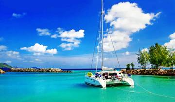 Catamaran Cruise: Adventure in Martinica and the Tobago Cays Tour