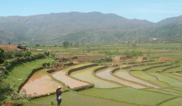 EXPEDITION IN THE ANDRINGITRA COMBINED WITH TIMELESS LAND MAKAY