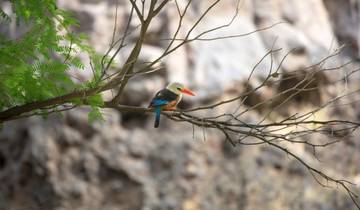 5 Days in Cape Verde, incl. Mindelo and Santo Antao