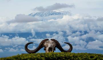 8 Days Climb Kilimanjaro Rongai Route