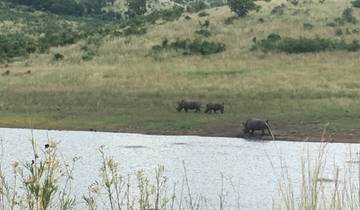 4 Day | Pilanesberg Safari