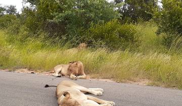 5-Day Best of Johannesburg + Kruger National Park Tour