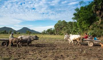 21 Day Vietnam Itinerary, incl. Hanoi and Ho Chi Minh City
