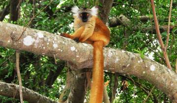 21 Days in Madagascar, incl. Antananarivo and Nosy Be