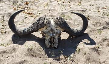 9 Days Victoria Falls, Hwange National Park & Kariba
