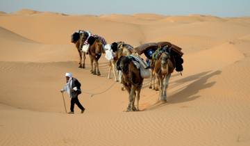 7 Days in Tunisia Desert, incl. Djerba and Matmata