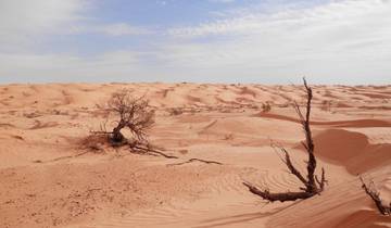 7 Days in Tunisia Desert, incl. Djerba and Matmata