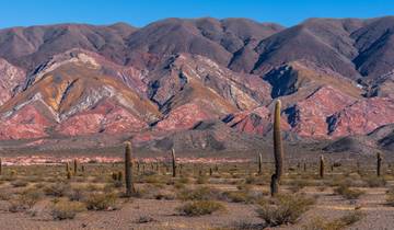 Salta Desert Explorer 5D/4N Tour