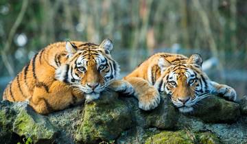 Goldenes Dreieck mit Ranthambore Wildtier Safari (Delhi, Agra, Jaipur & Ranthambore) - 5 Tage