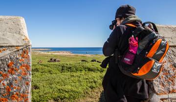 6 Day Manitoba Itinerary, incl. Winnipeg and Churchill