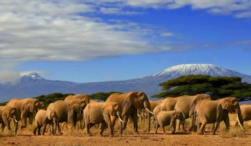 Magisches Kenia