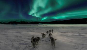 Yukon Honden Spoelavontuur-rondreis