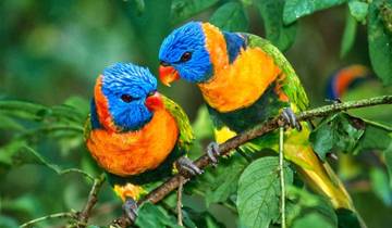 5 Tage Goldenes Dreieck Tour mit Vogelbeobachtung - Delhi Agra Jaipur Bharatpur Tour Tour